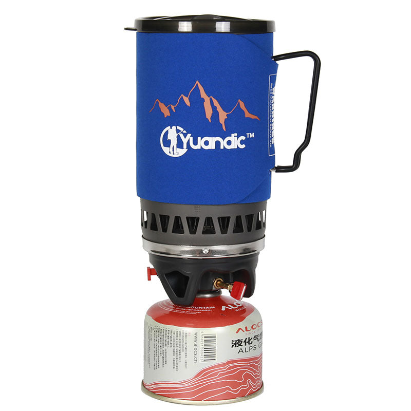 Portable Outdoor Gas Stove